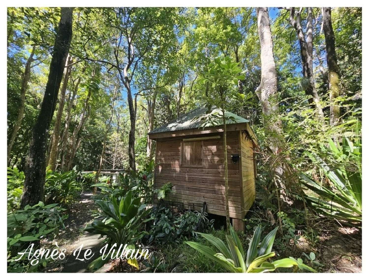  te koop landgoed Pointe-Noire Guadeloupe 1