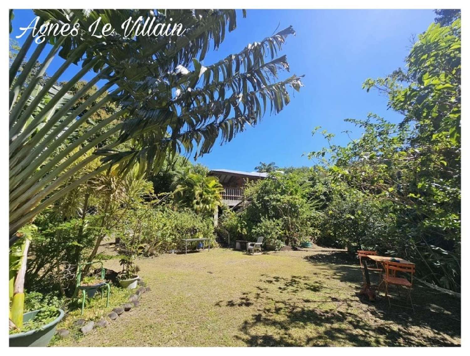  te koop landgoed Pointe-Noire Guadeloupe 7