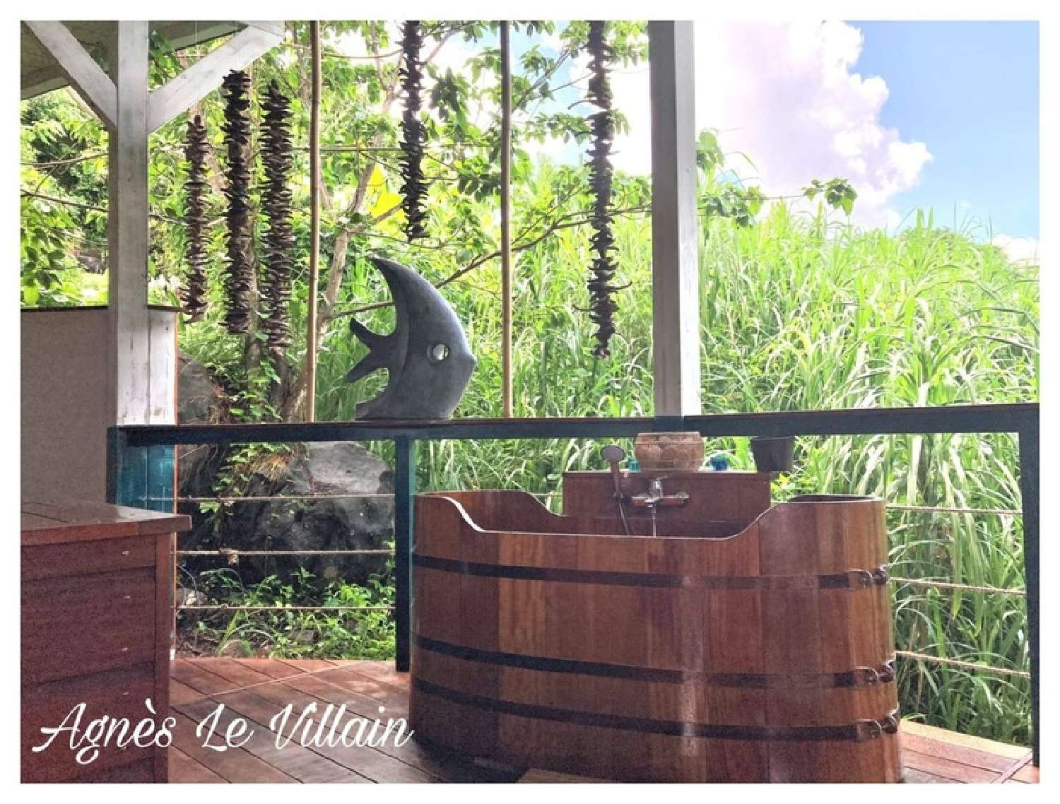 te koop landgoed Pointe-Noire Guadeloupe 5