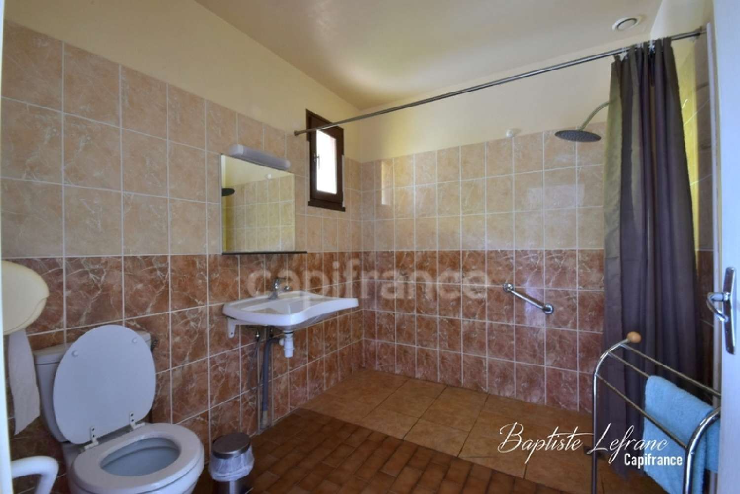 te koop landgoed Rillé Indre-et-Loire 8