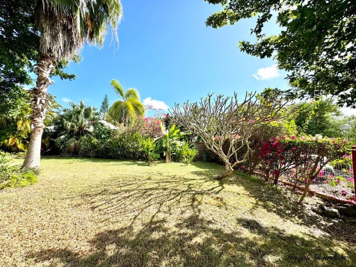  te koop landgoed Saint-François Guadeloupe 7