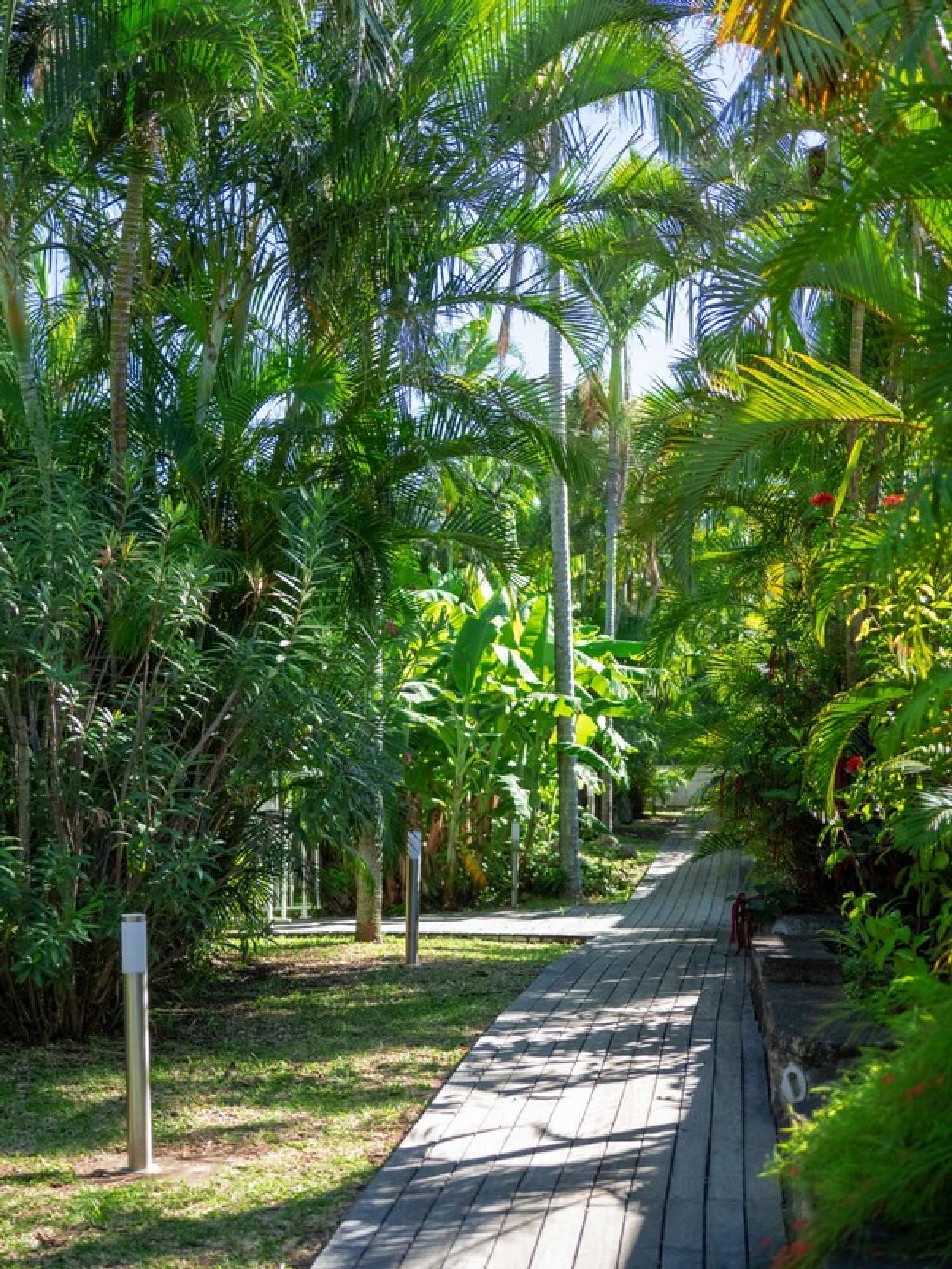 te koop landgoed Saint-Louis La Réunion 6