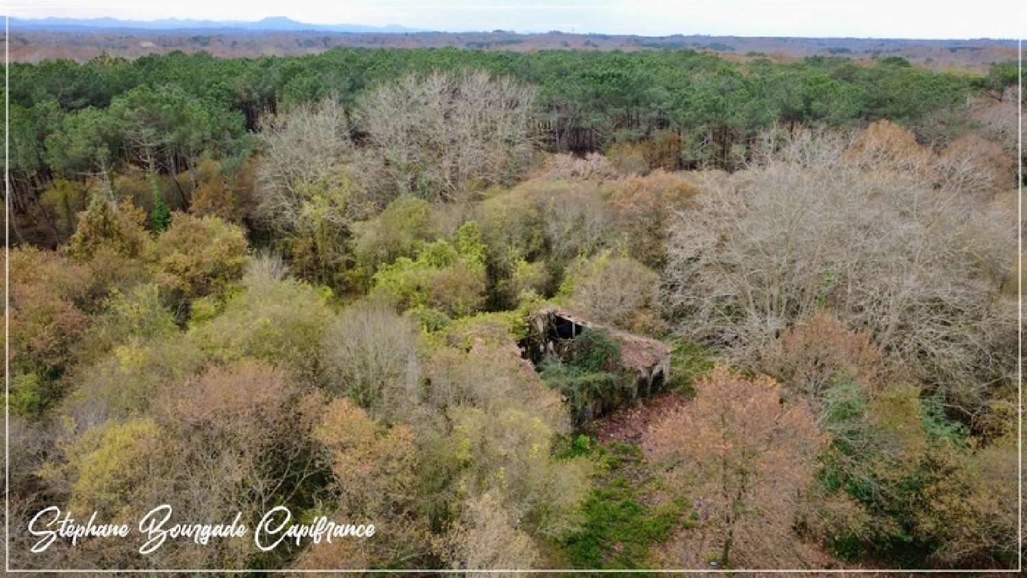  en venta finca rústica Saint-Martin-de-Hinx Landes 5