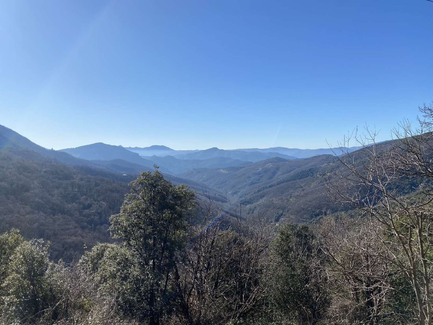 à vendre propriété Saint-Roman-de-Codières Gard 2