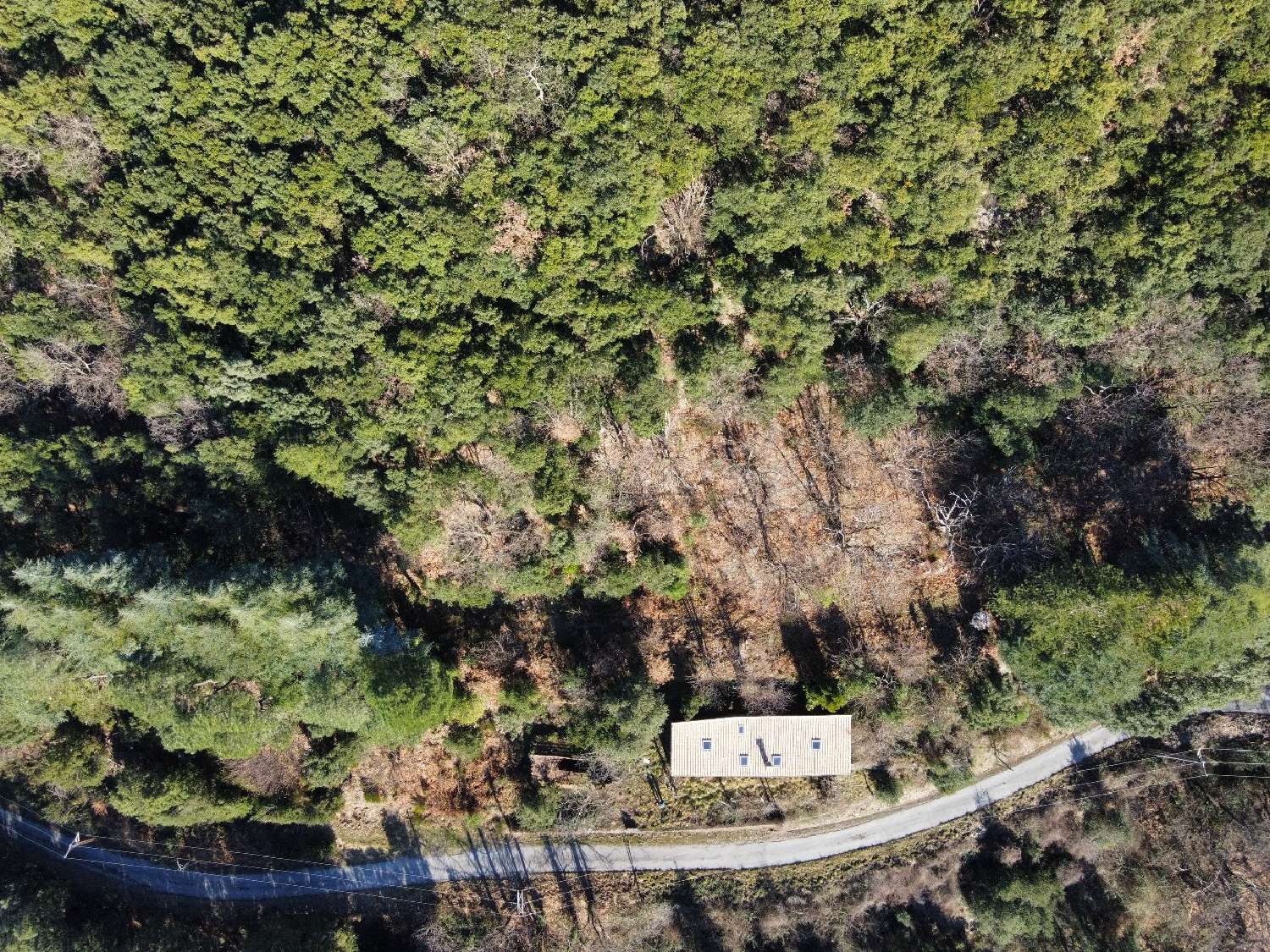 à vendre propriété Saint-Roman-de-Codières Gard 3