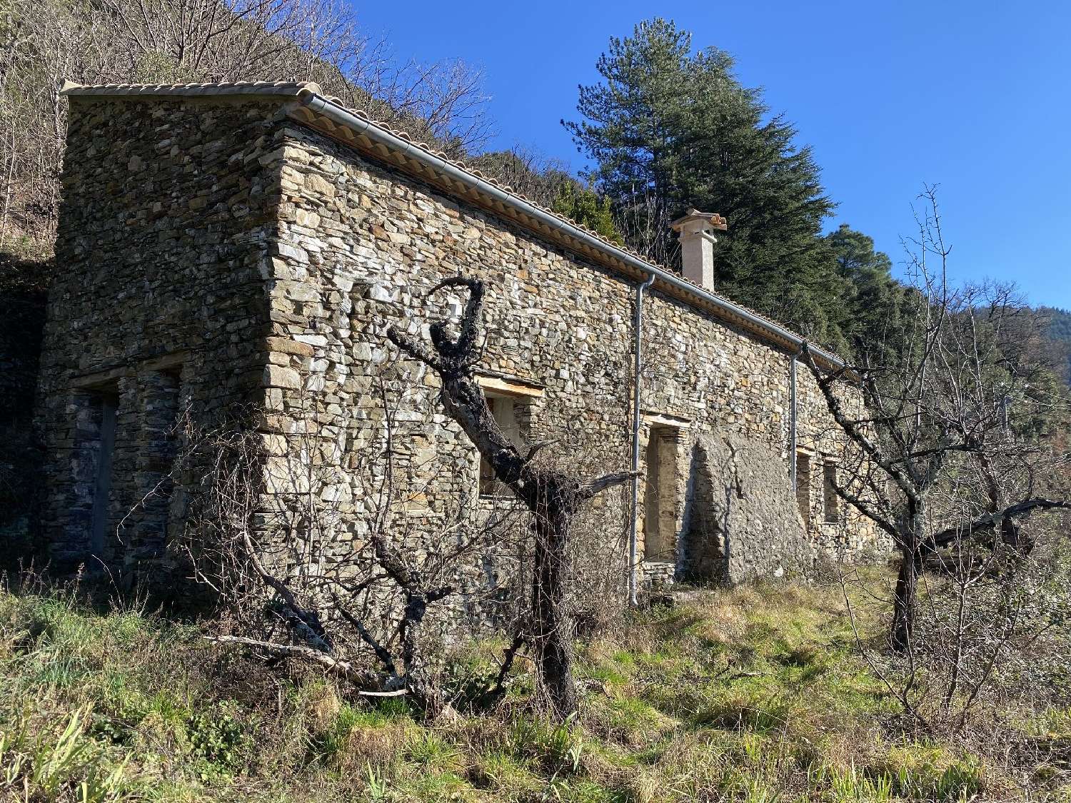 à vendre propriété Saint-Roman-de-Codières Gard 5