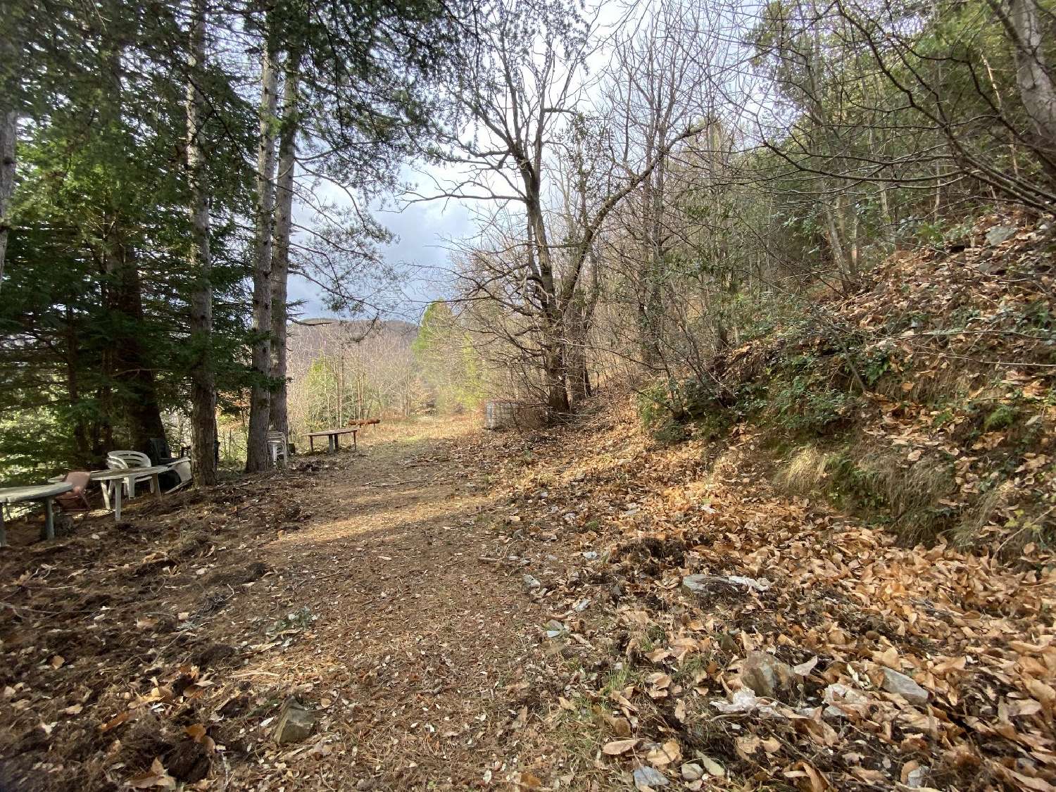 à vendre propriété Saint-Roman-de-Codières Gard 6