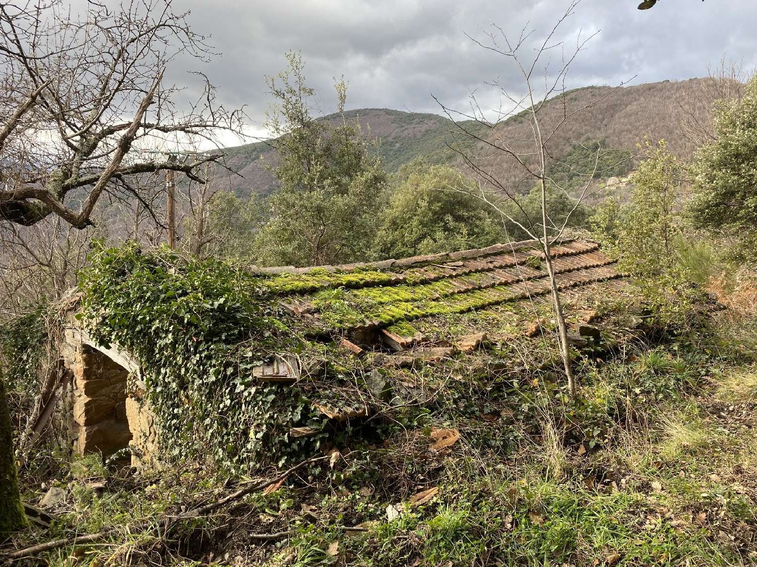 à vendre propriété Saint-Roman-de-Codières Gard 7