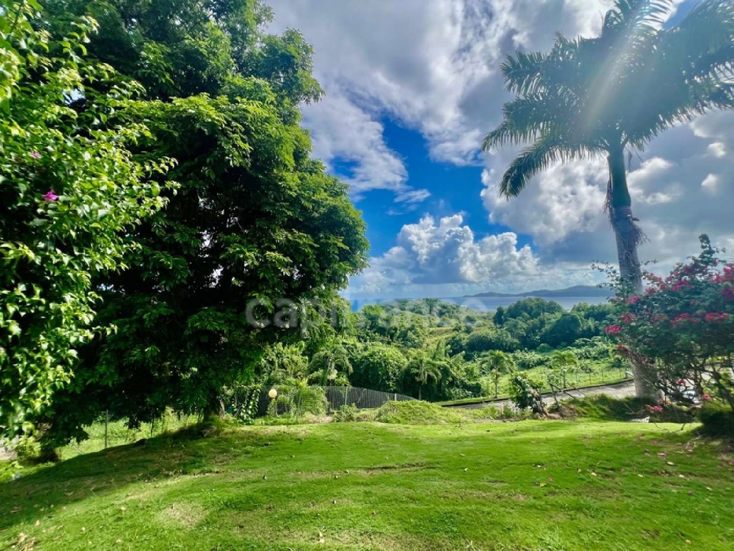  te koop landgoed Sainte-Marie Martinique 3