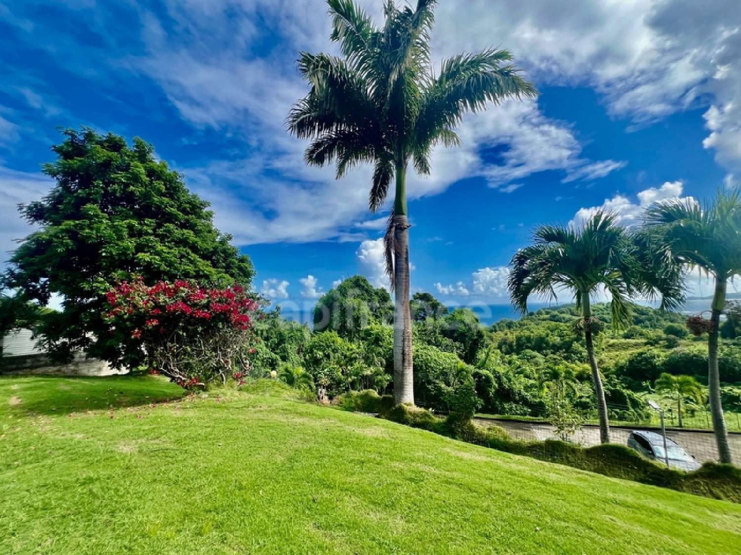  te koop landgoed Sainte-Marie Martinique 4