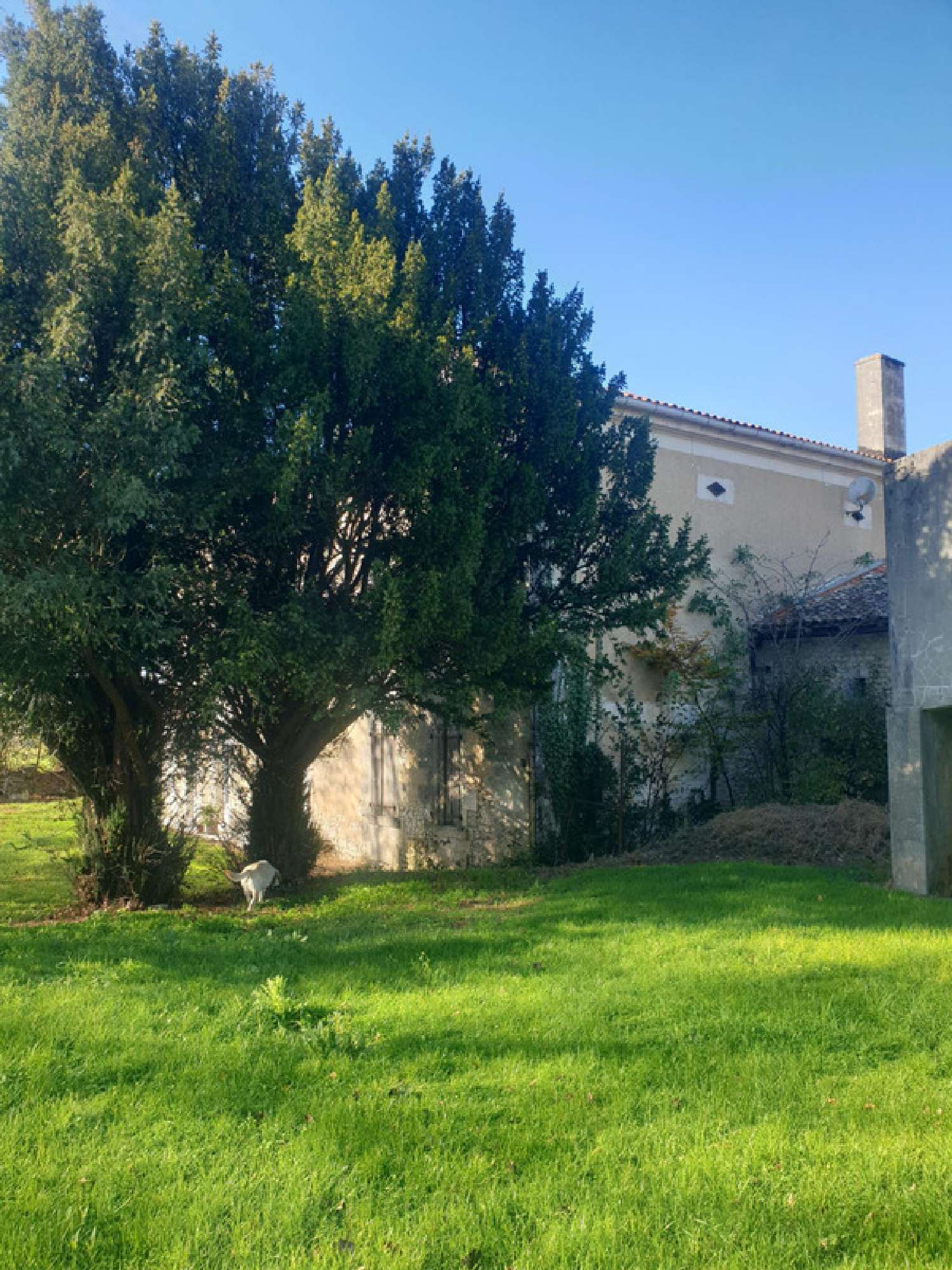  for sale farm Saint-Bonnet Charente 2