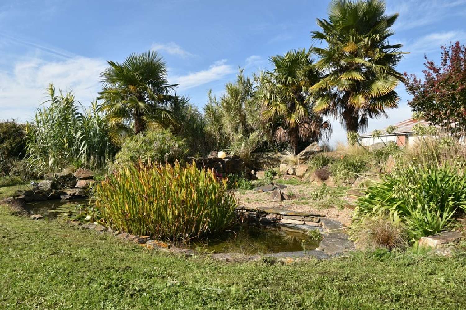  for sale farm Candé Maine-et-Loire 7