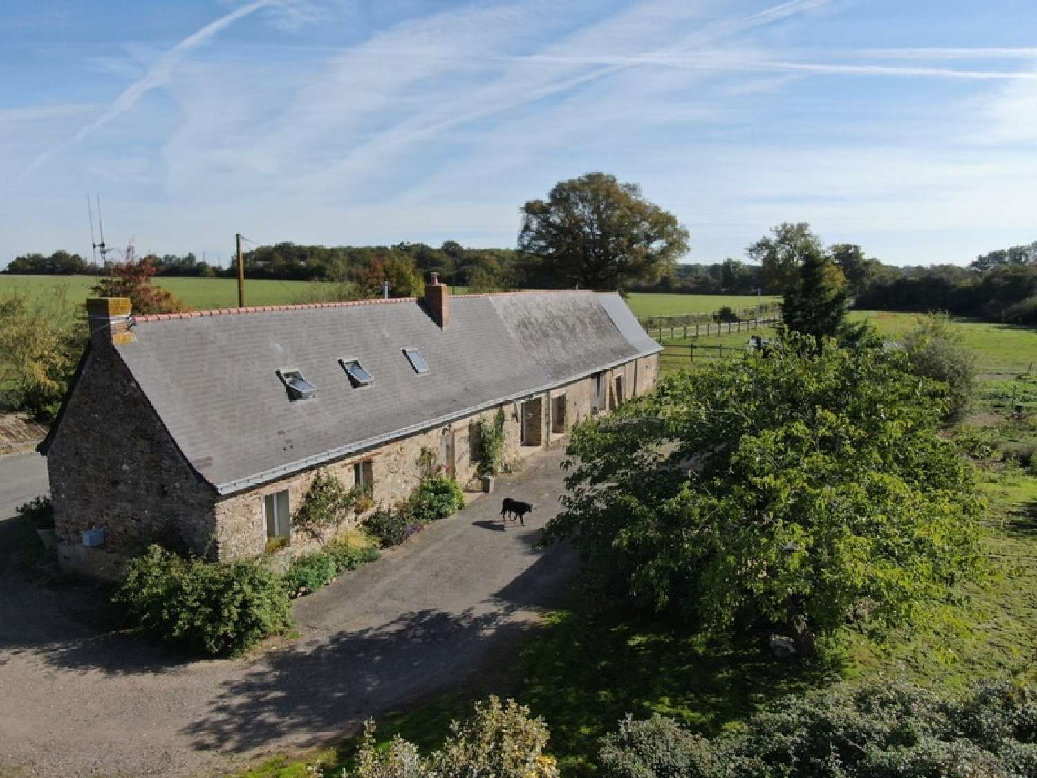  for sale farm Candé Maine-et-Loire 8