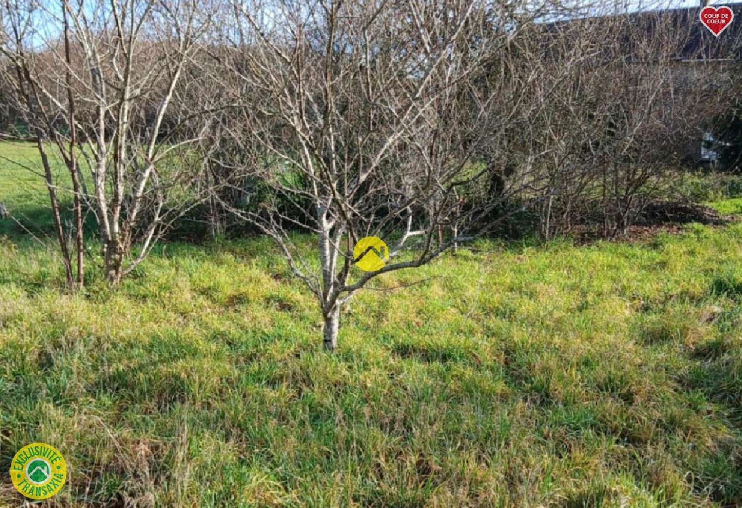  kaufen Bauernhof Ceyroux Creuse 2