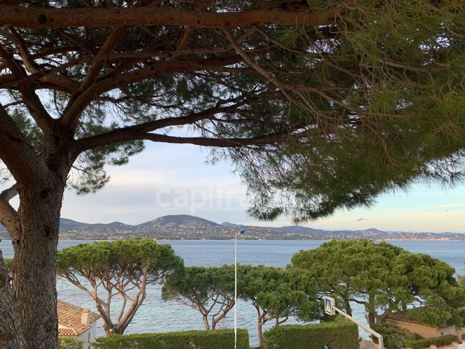 for sale farm Gassin Var 1