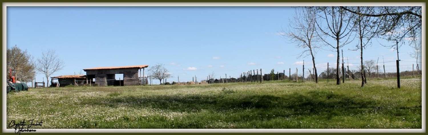  te koop boerderij La Roche-Chalais Dordogne 6