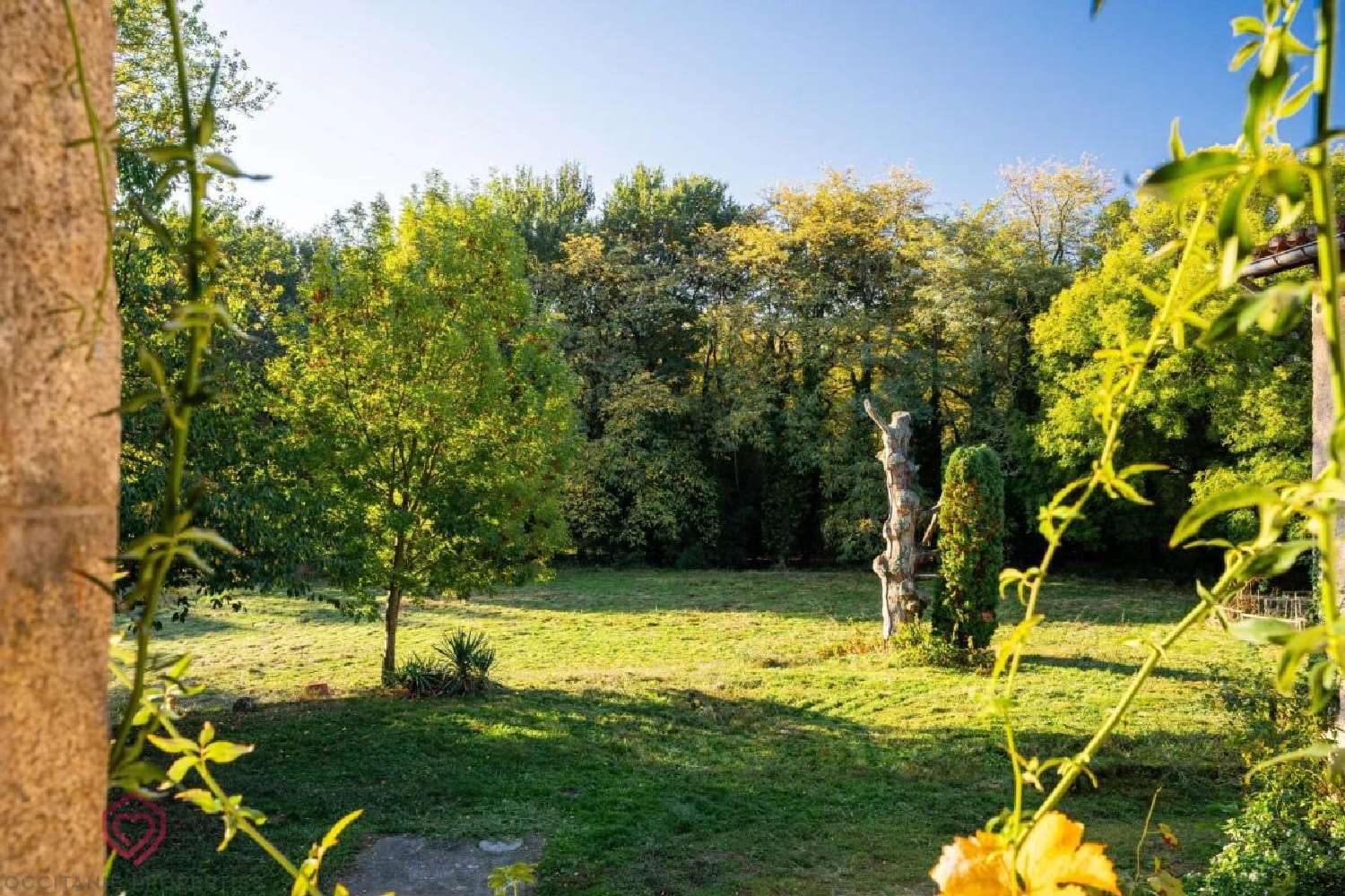 for sale farm Labruguière Tarn 3