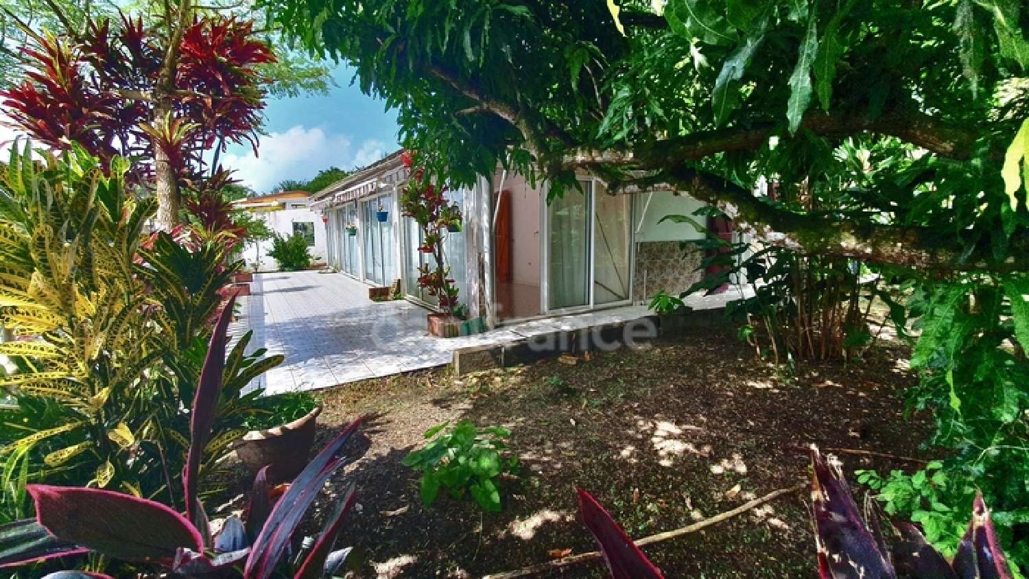 à vendre ferme Le Diamant Martinique 1