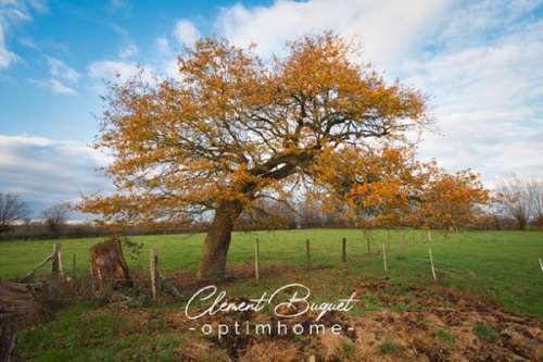  kaufen Bauernhof Le Favril Nord 6