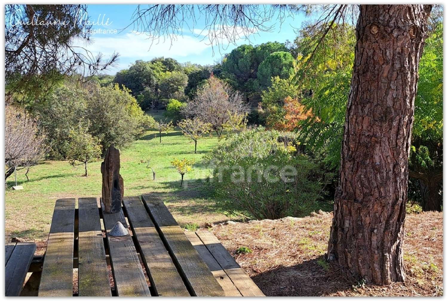  en venta casa rústica Pézenas Hérault 5