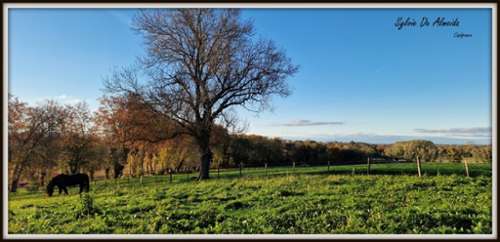 Pont-de-Veyle Ain farm foto 7220572