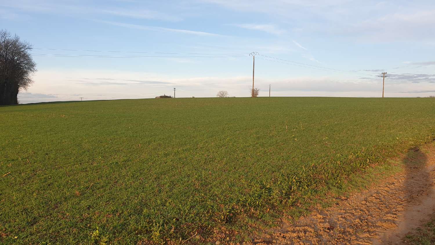  for sale farm Rigny Haute-Saône 4