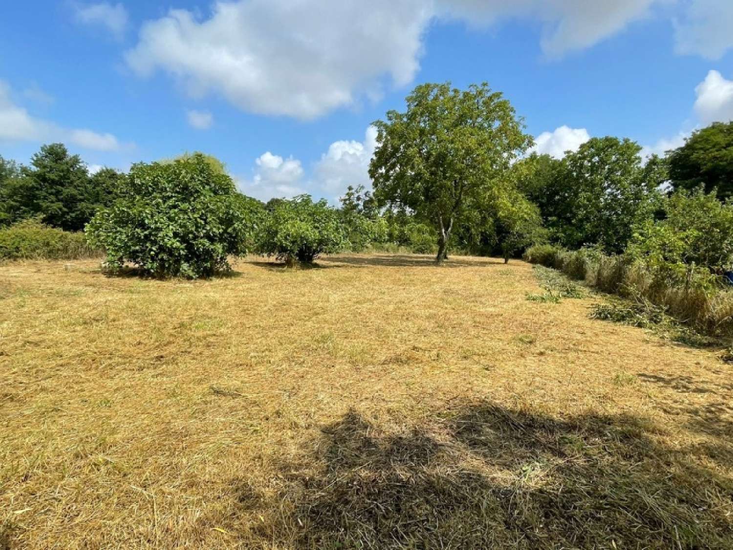 for sale farm Saint-Andelain Nièvre 4