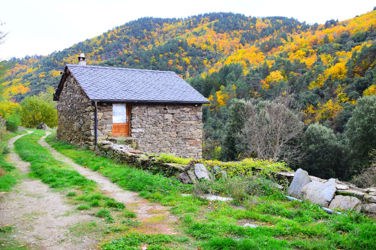 te koop boerderij Saint-Frézal-de-Ventalon Lozère 8
