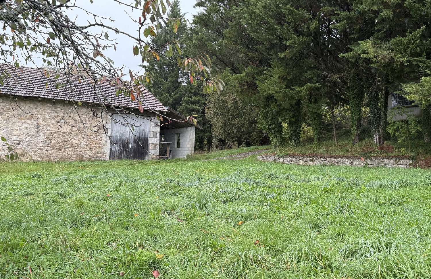kaufen Bauernhof Saint-Mamet-la-Salvetat Cantal 7