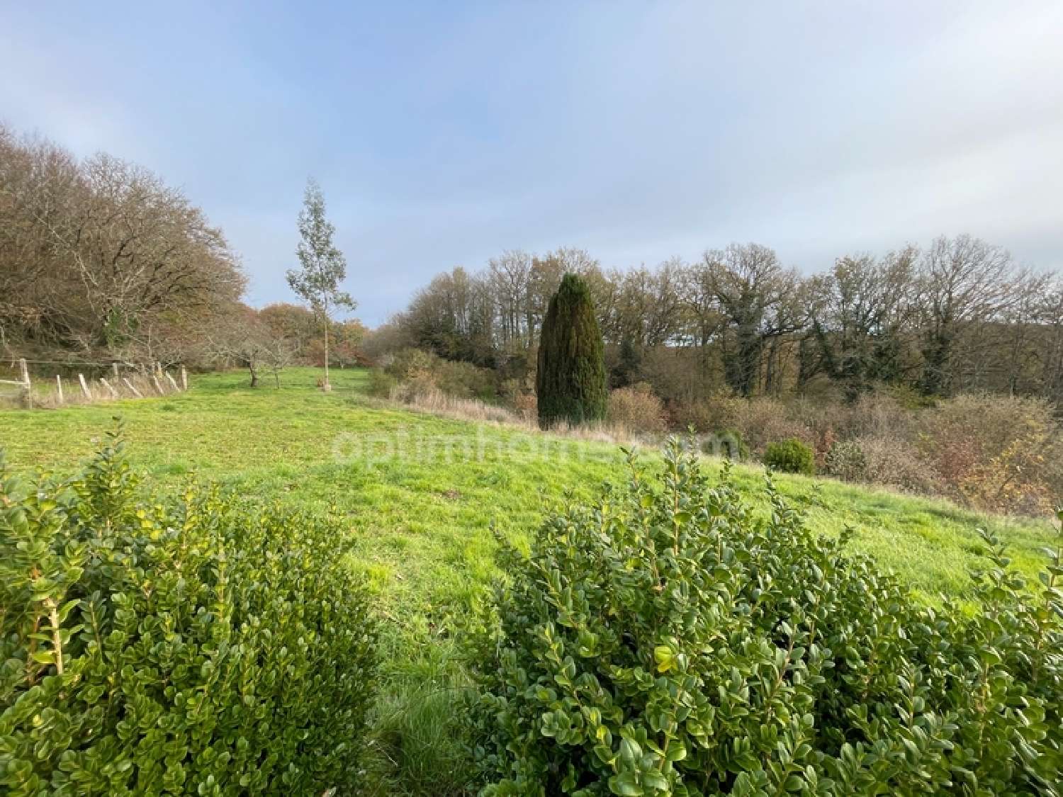  for sale farm Saint-Priest-la-Feuille Creuse 4