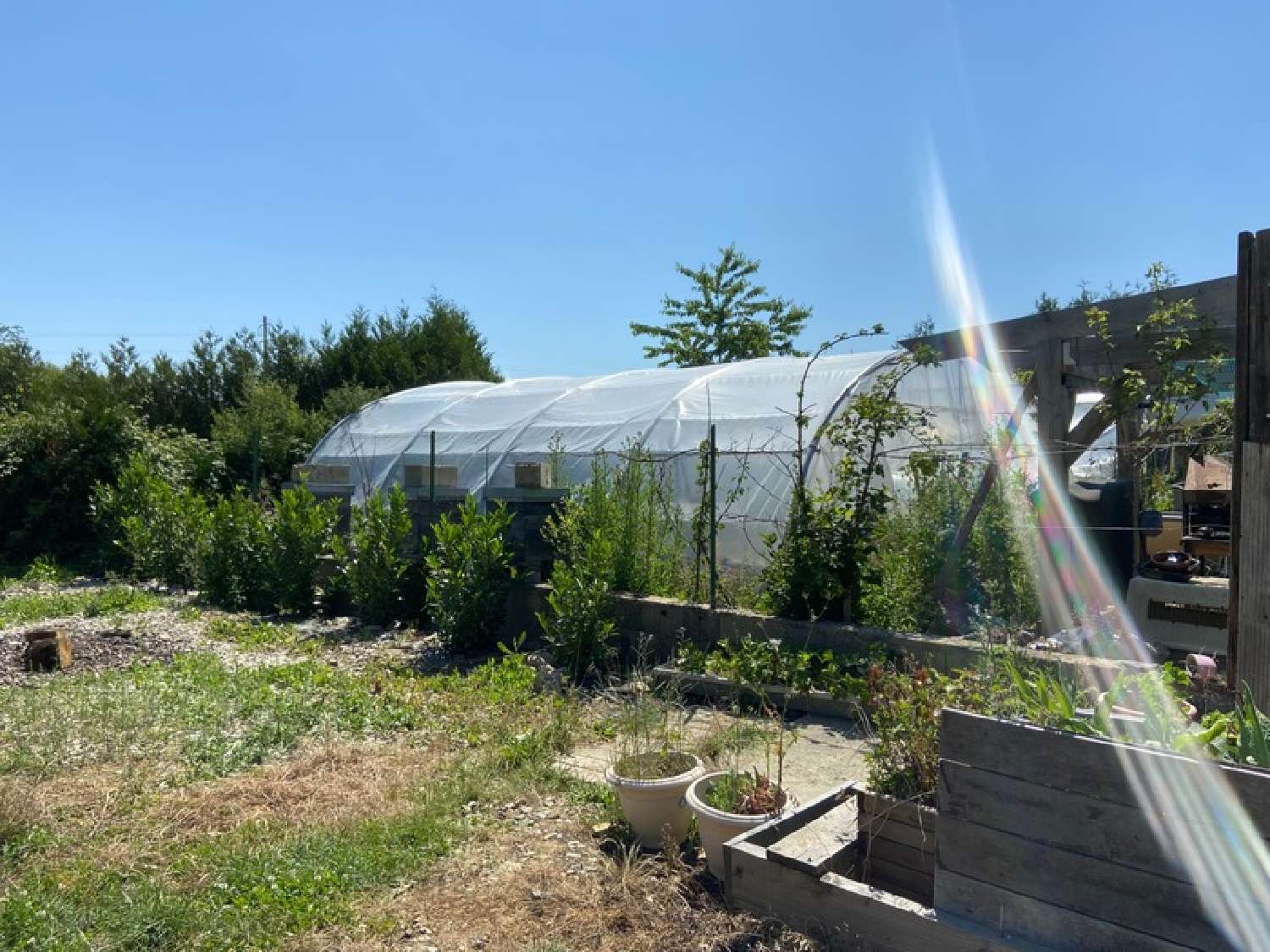  te koop boerderij Sainte-Scolasse-sur-Sarthe Orne 4