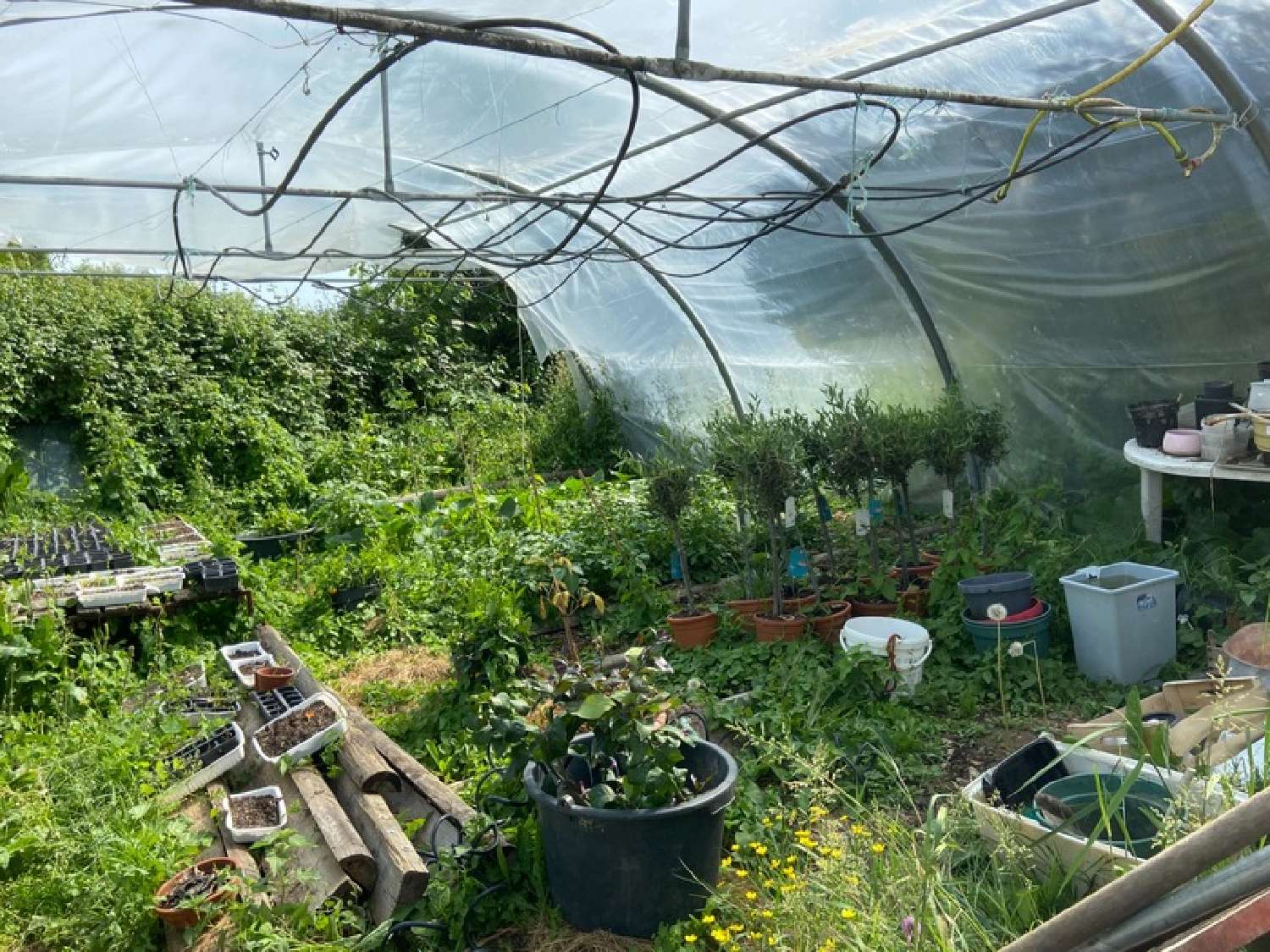  te koop boerderij Sainte-Scolasse-sur-Sarthe Orne 6