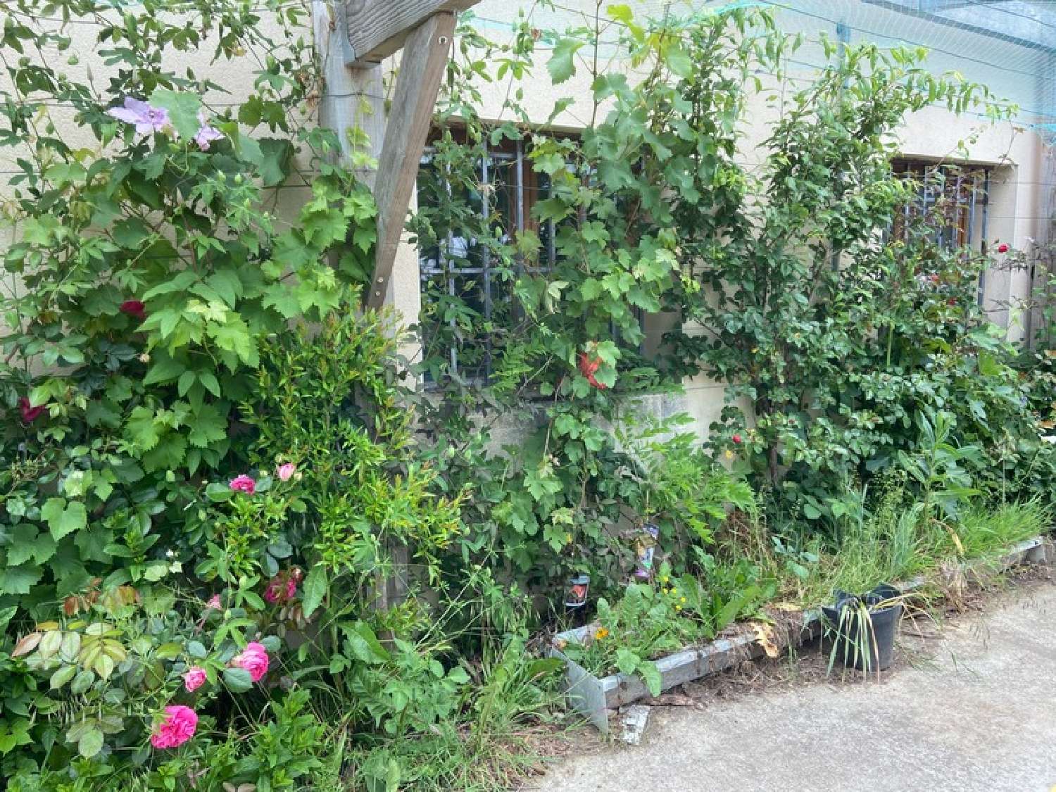  te koop boerderij Sainte-Scolasse-sur-Sarthe Orne 7