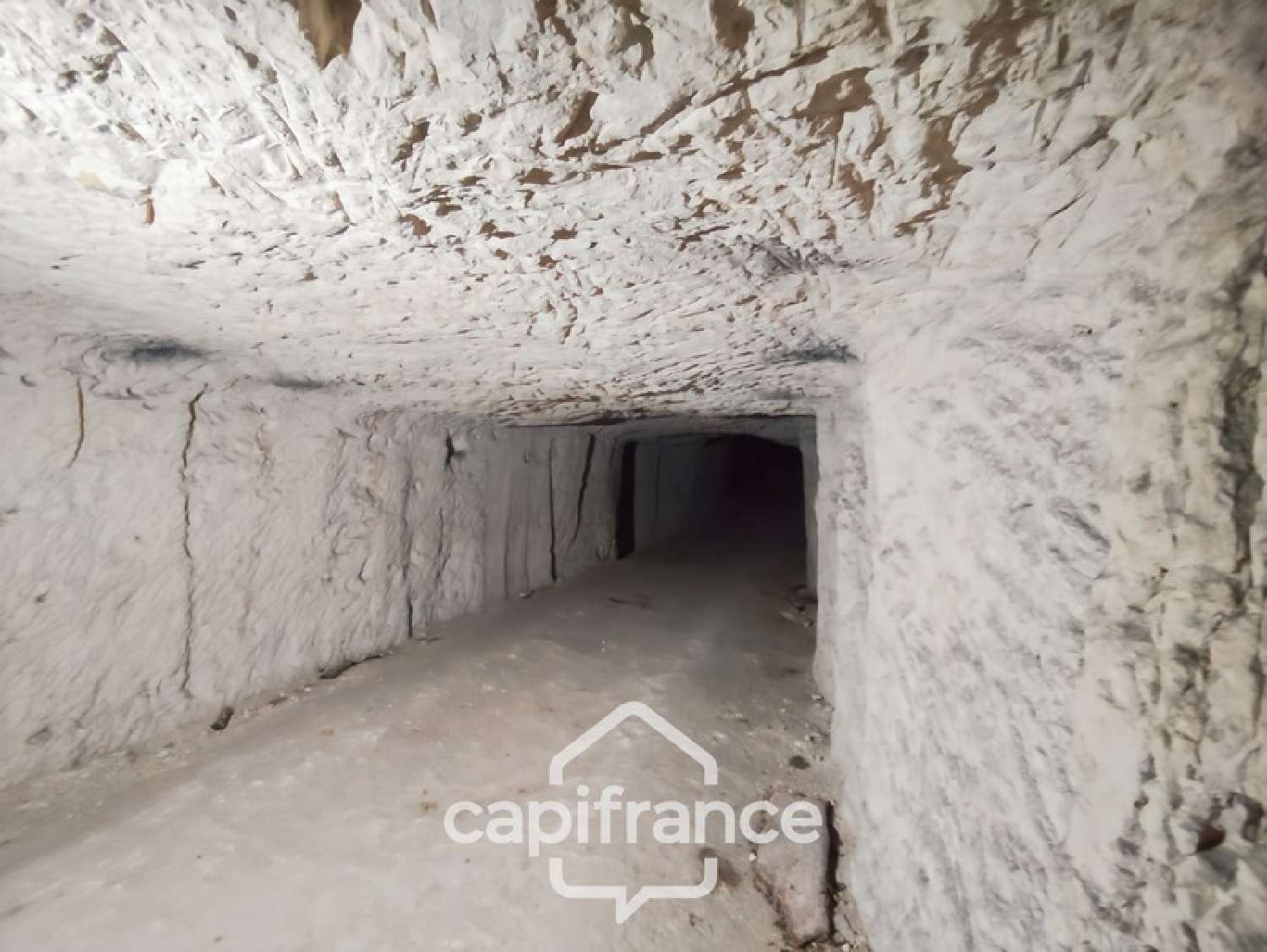 à vendre ferme Savigny-sur-Braye Loir-et-Cher 6