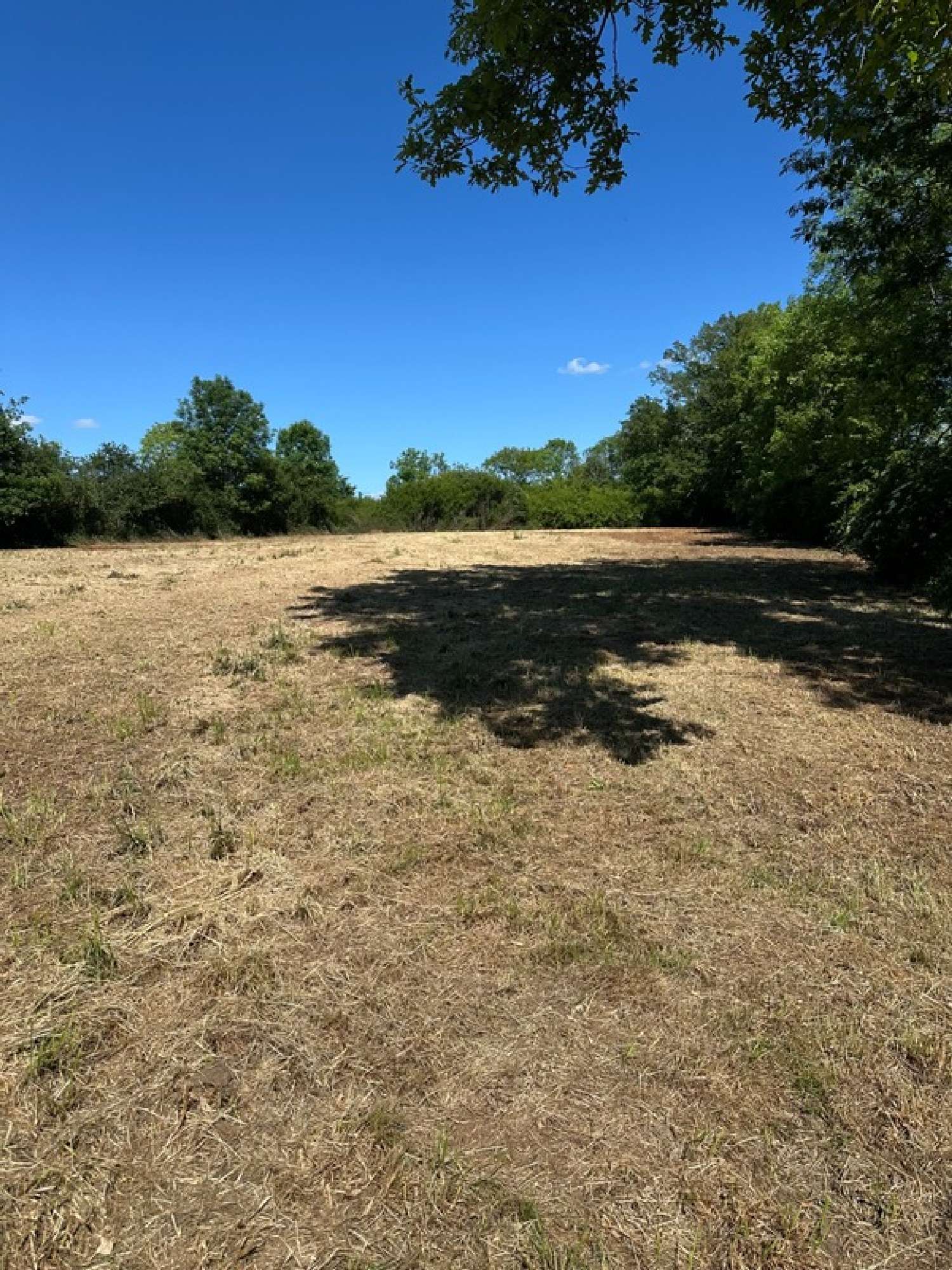 for sale farm Torcy-et Pouligny Côte-d'Or 5