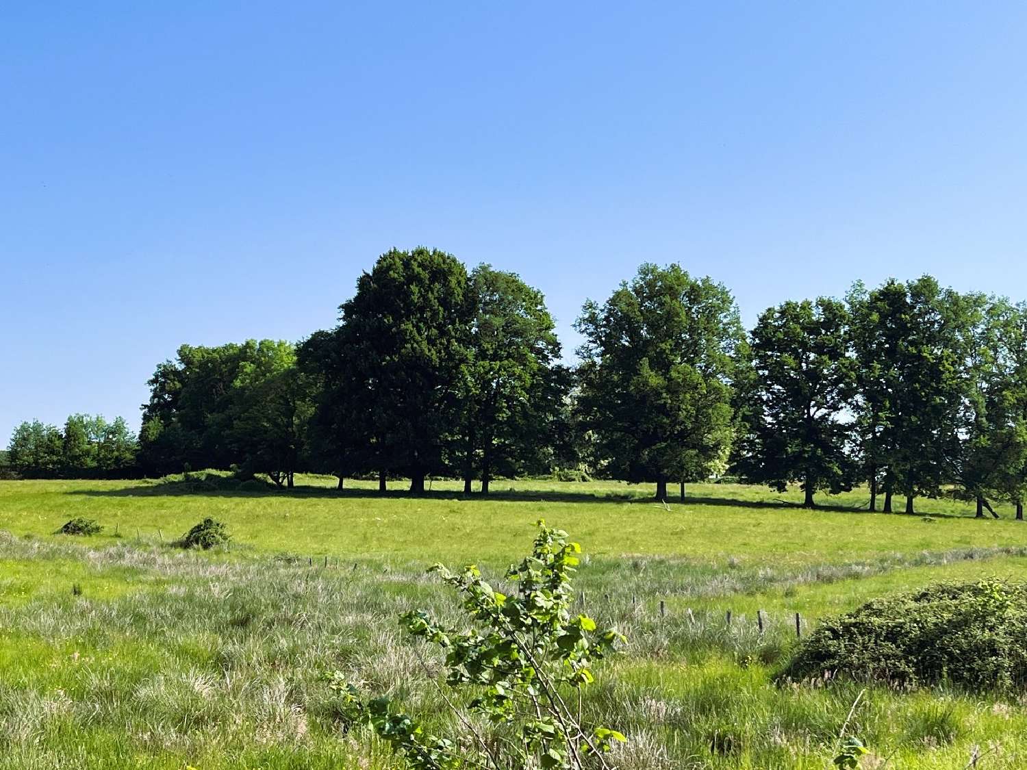  à vendre ferme Vayres Haute-Vienne 3