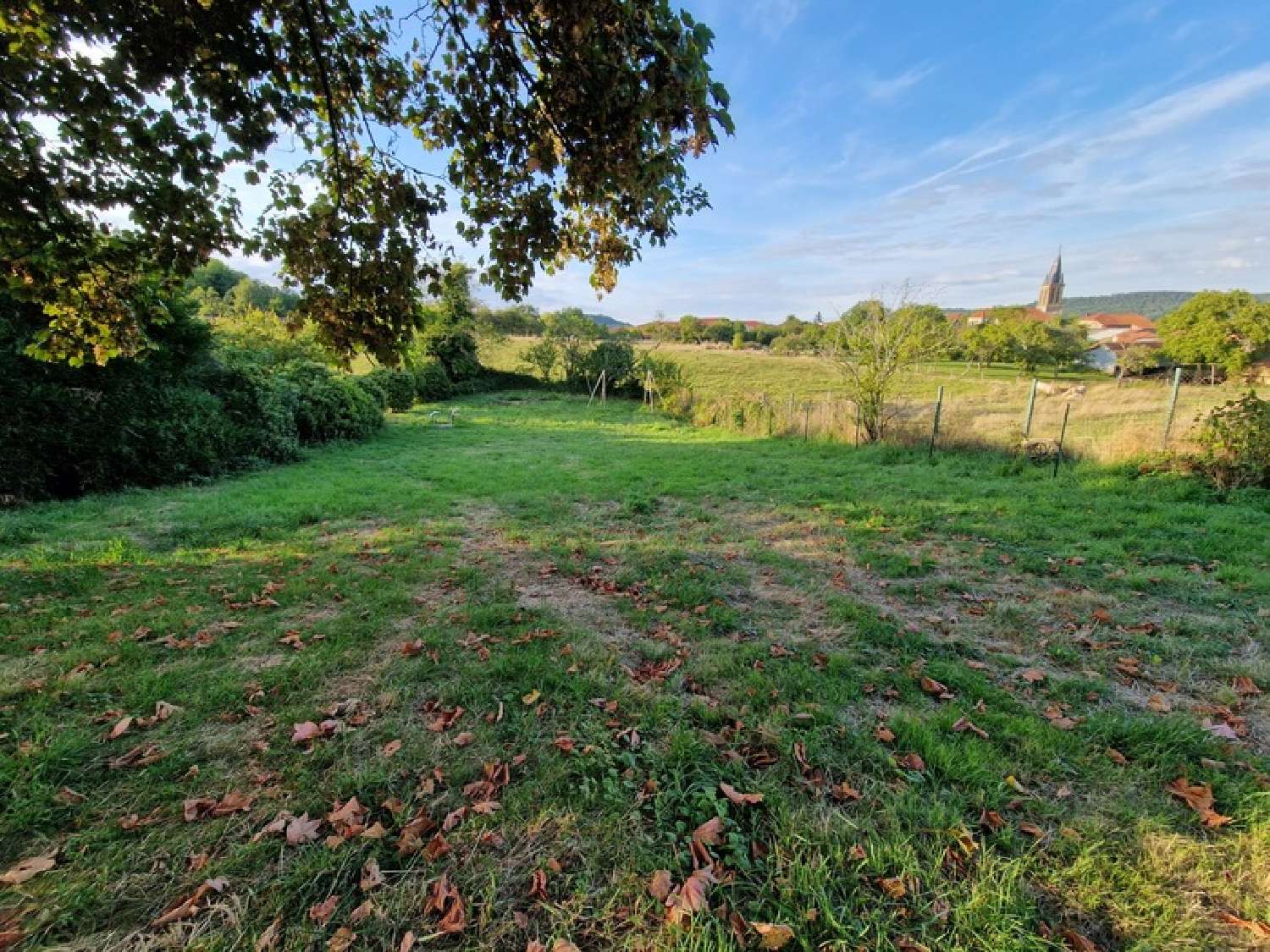 te koop boerderij Vézelise Meurthe-et-Moselle 3