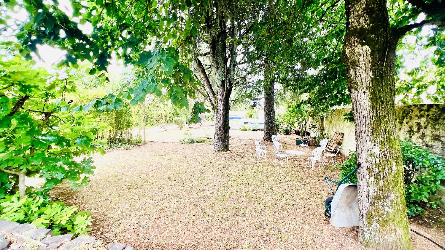  for sale house Albi Tarn 2