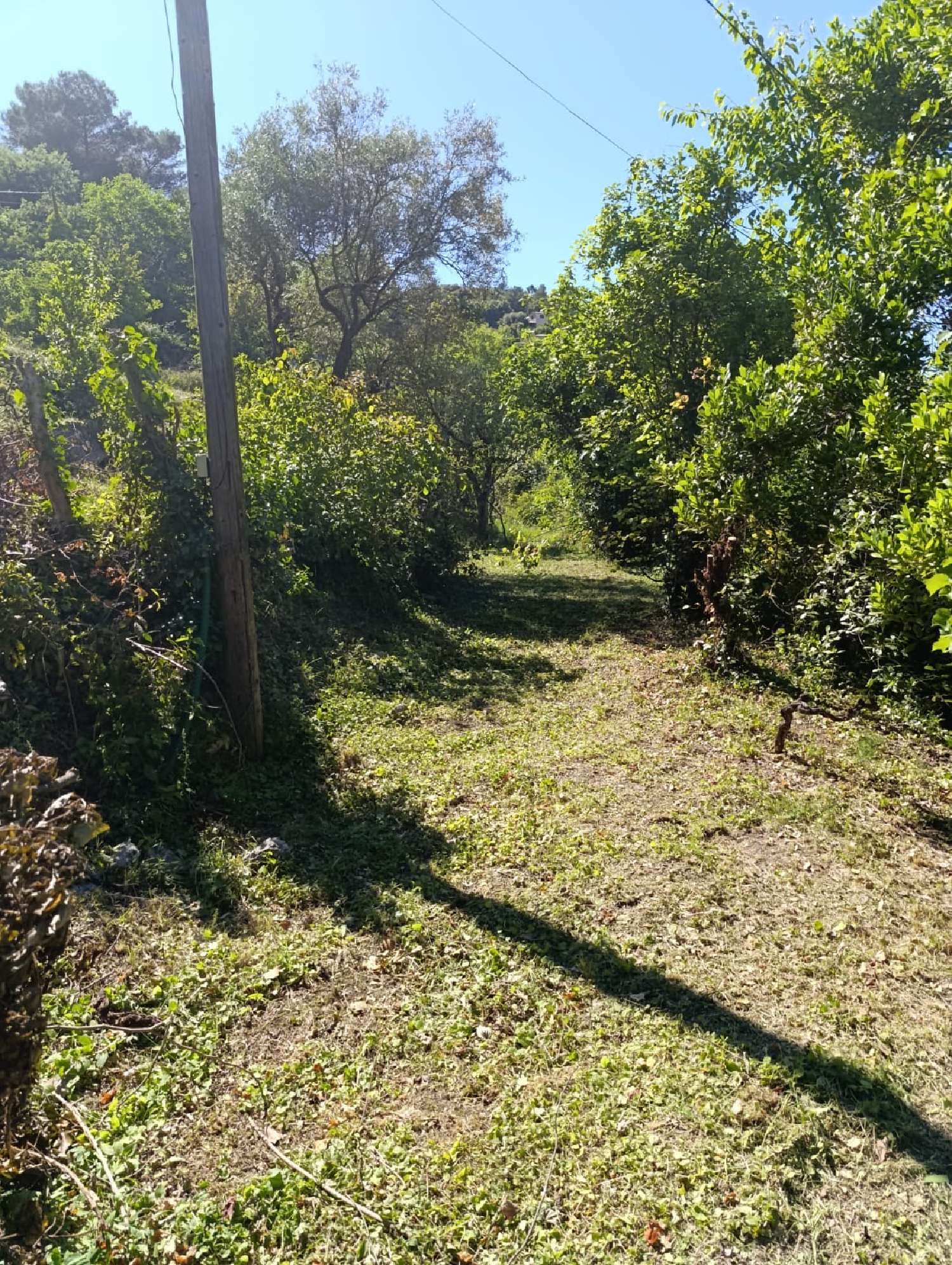  te koop huis Alès Gard 6