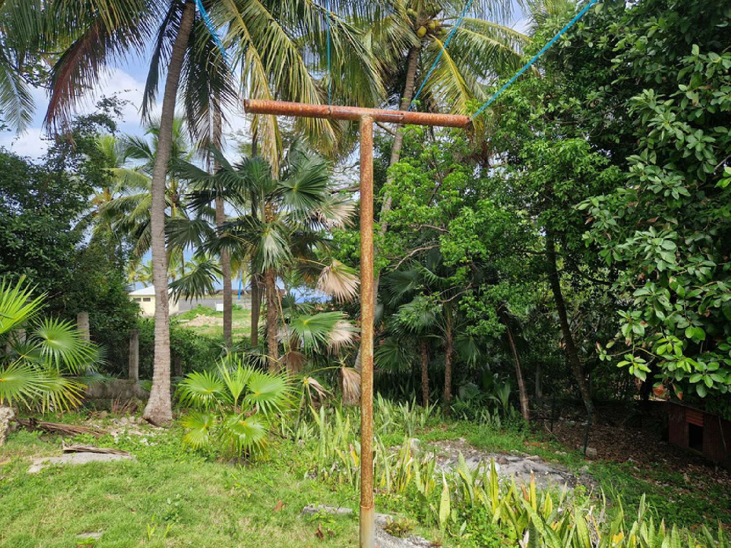 for sale house Anse-Bertrand Guadeloupe 2