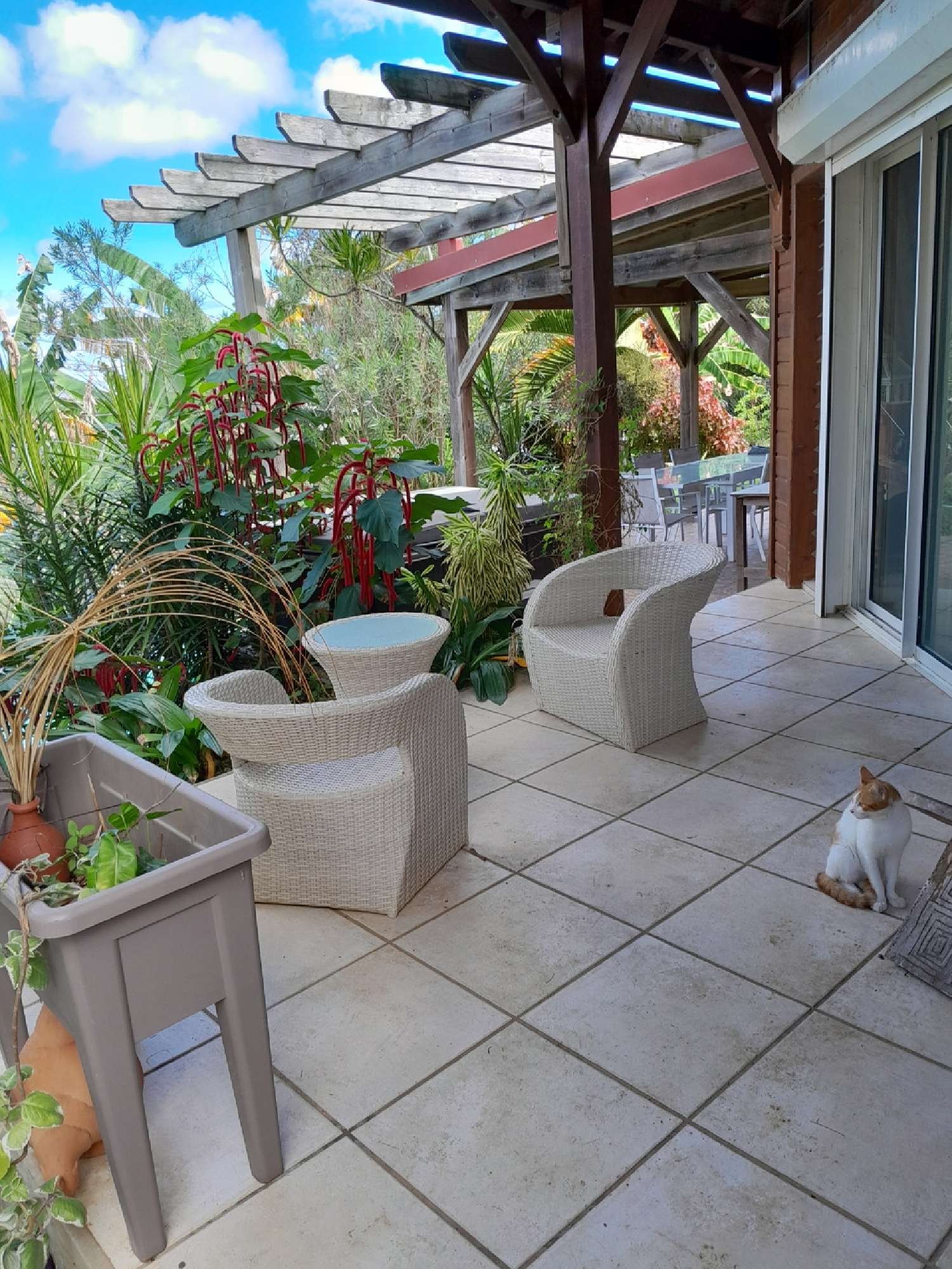 te koop huis Anse-Bertrand Guadeloupe 3