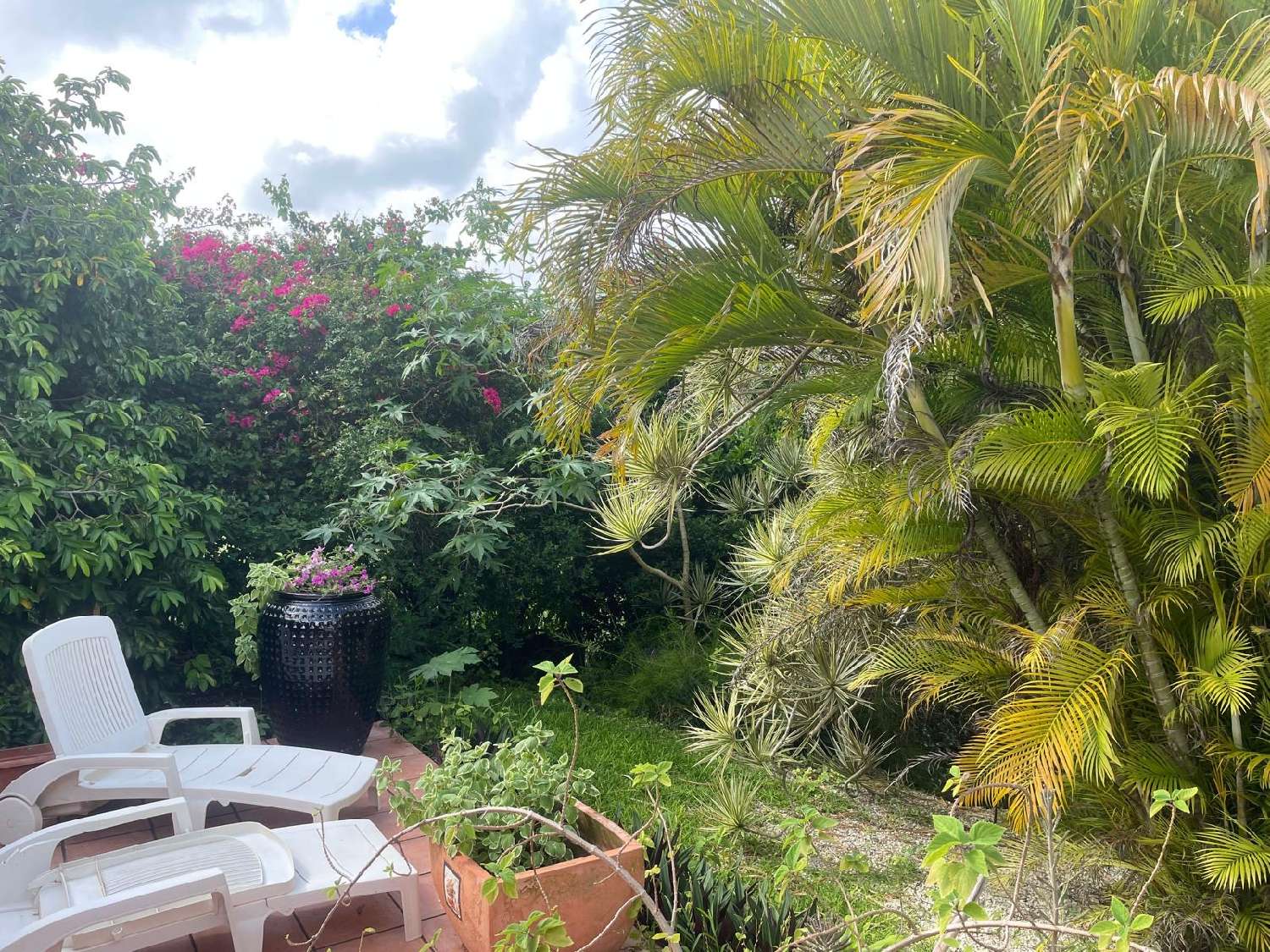 te koop huis Anse-Bertrand Guadeloupe 4