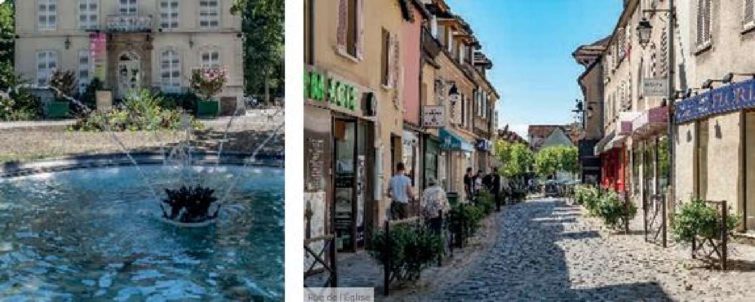 kaufen Haus Antony Hauts-de-Seine 6