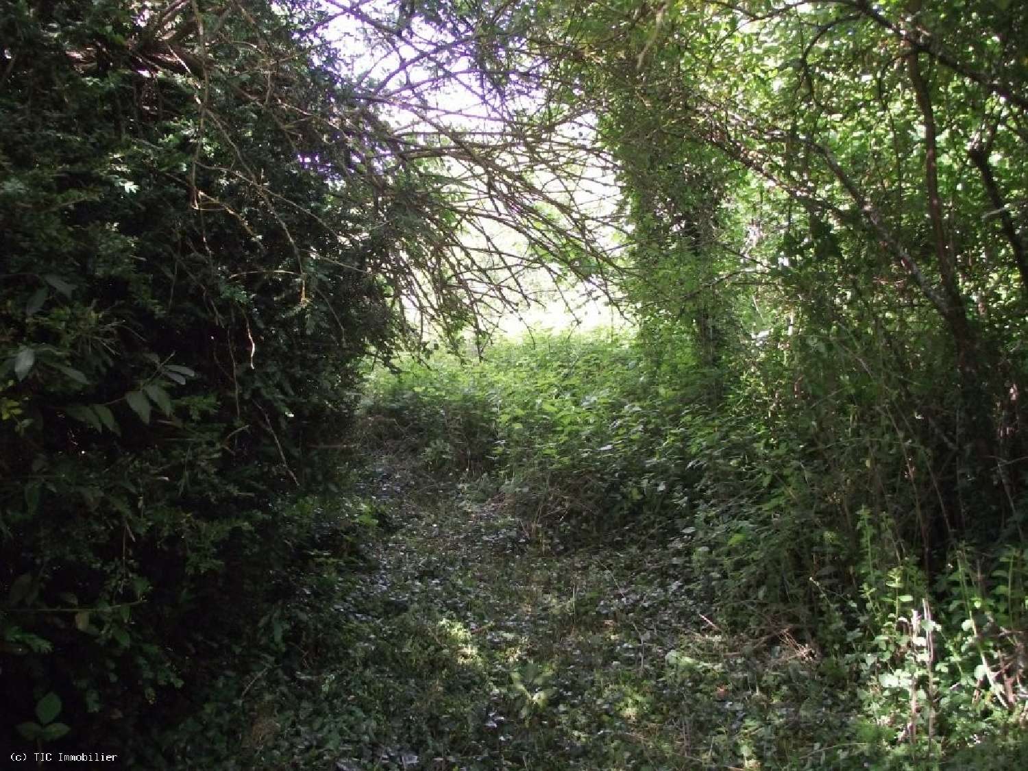  te koop huis Aunac Charente 8