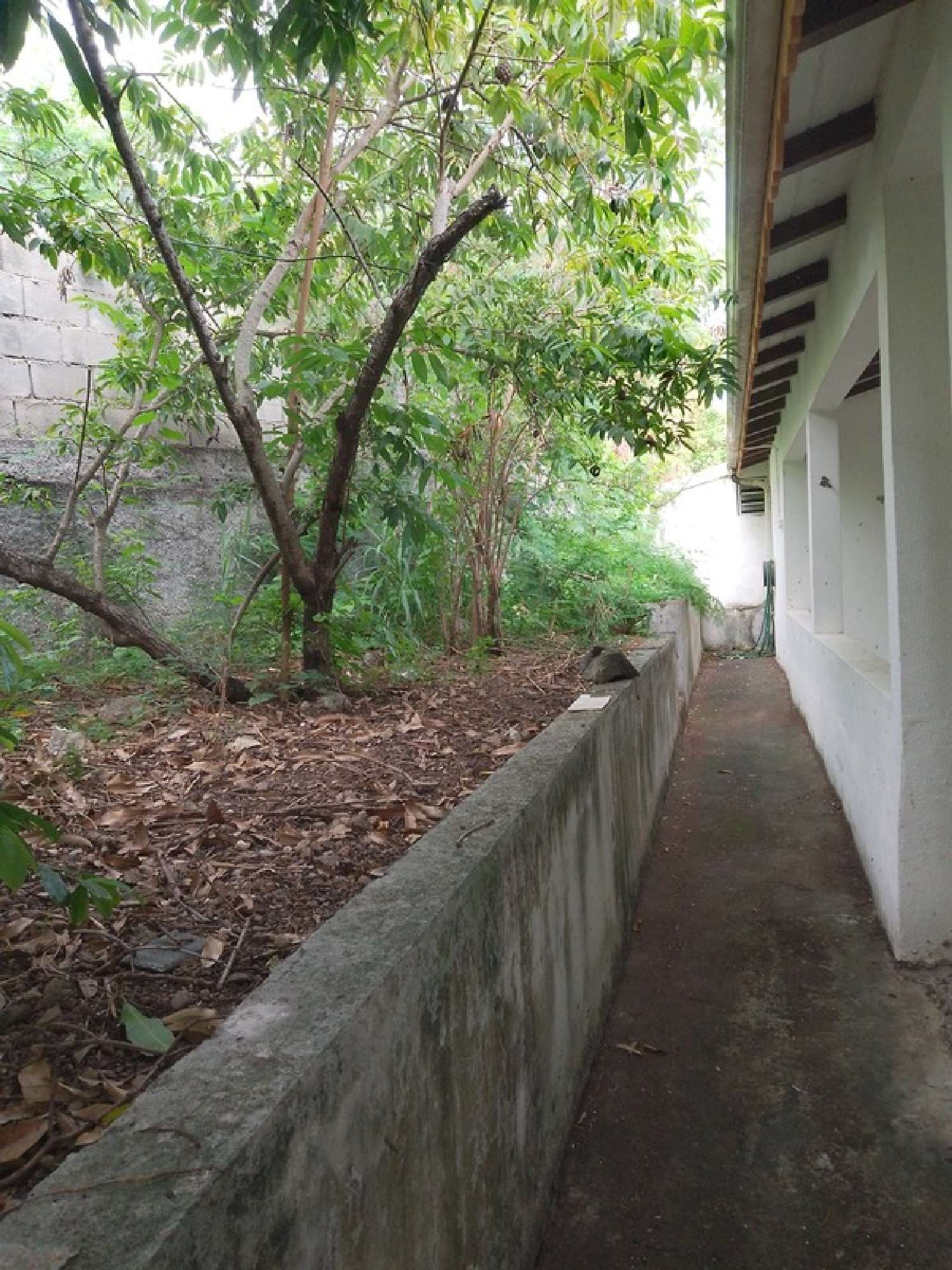 te koop huis Basse-Terre Guadeloupe 8