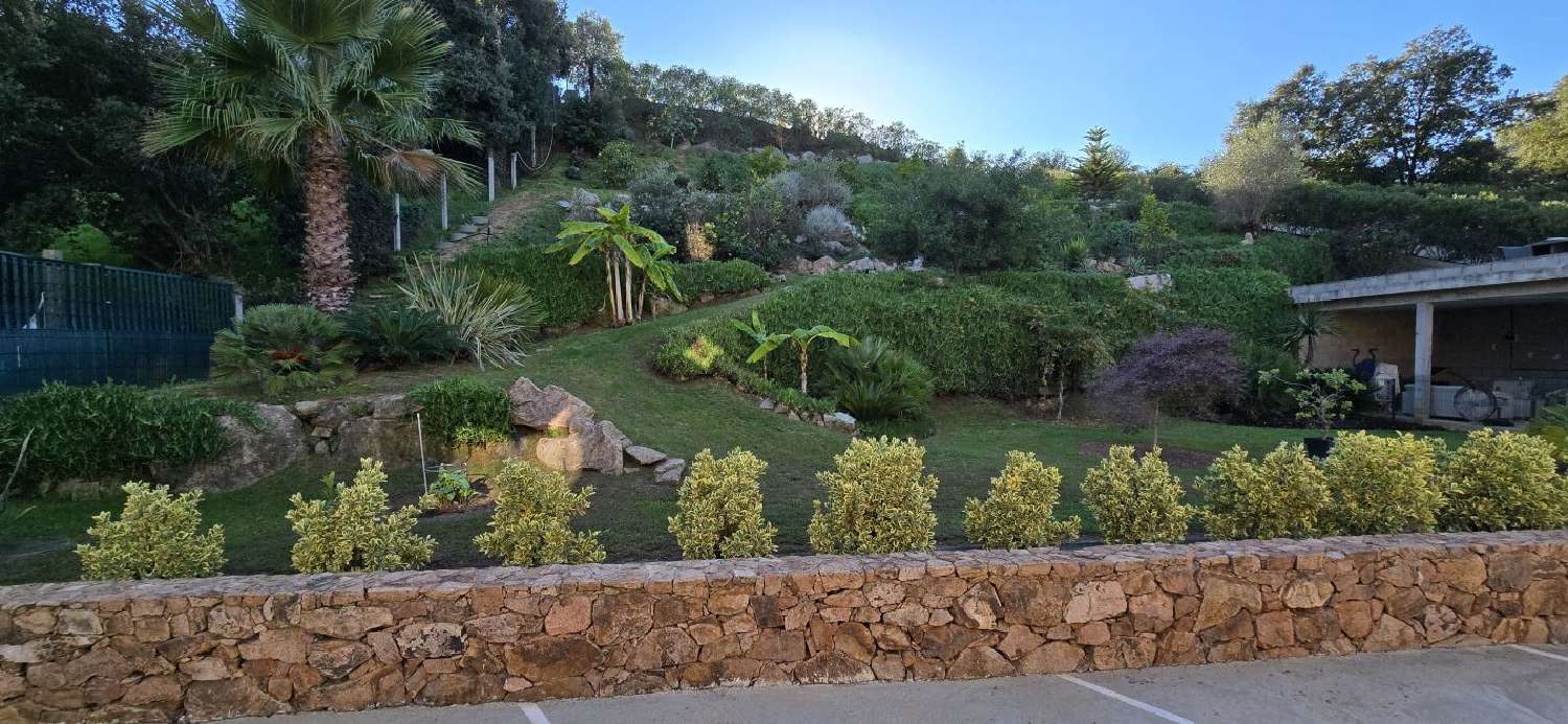 for sale house Bastelicaccia Corse-du-Sud 4