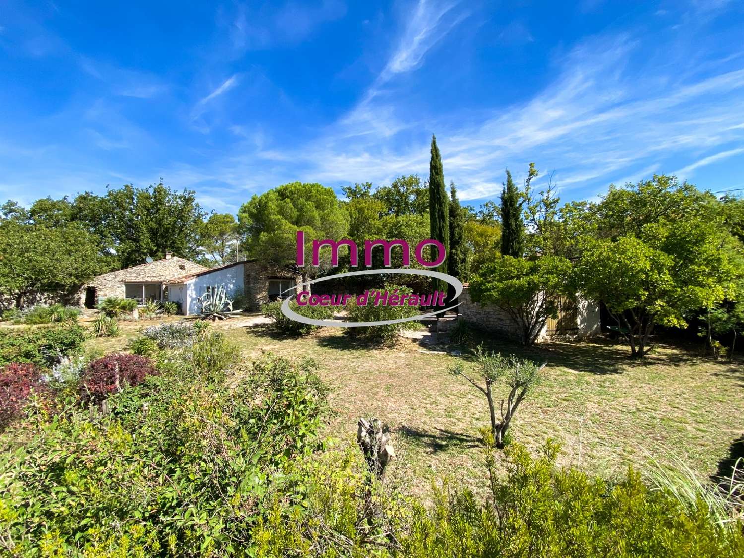  te koop huis Bédarieux Hérault 3