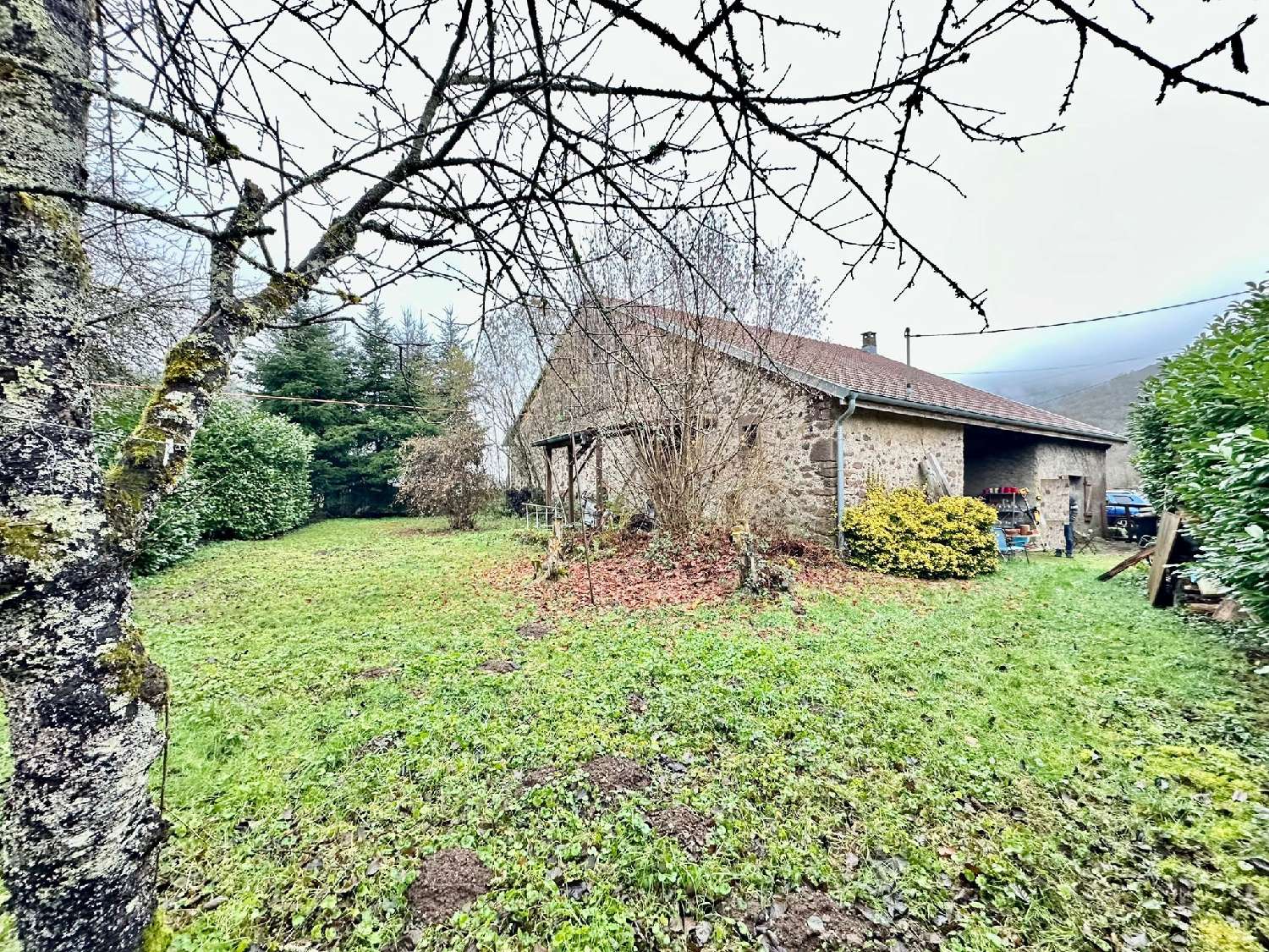  kaufen Haus Belonchamp Haute-Saône 1