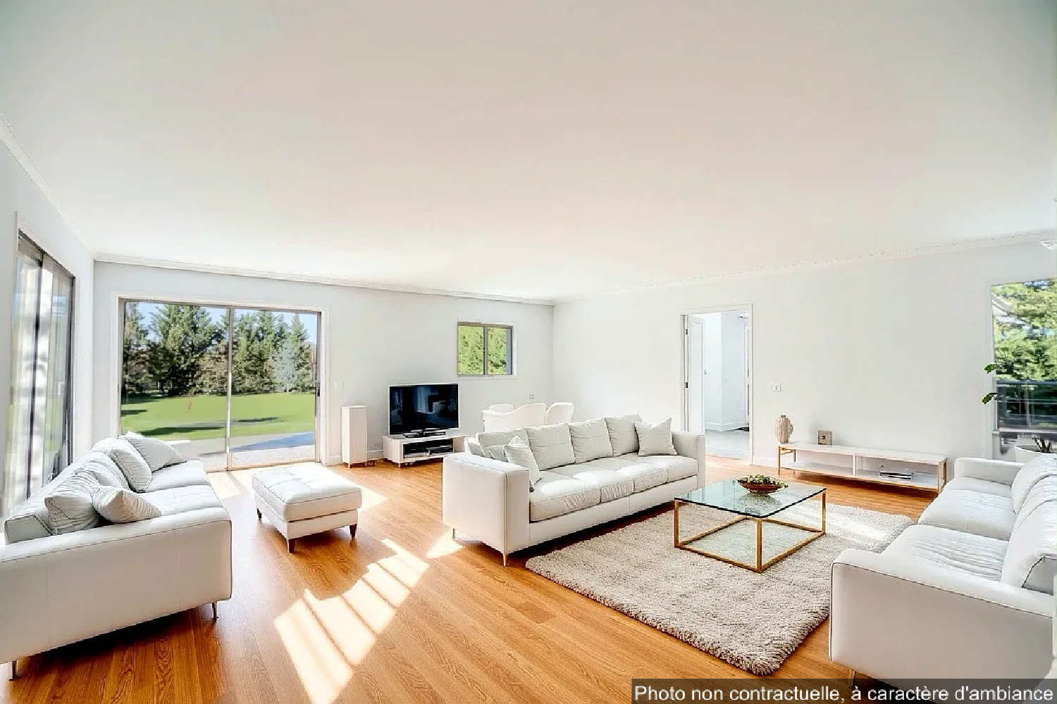  te koop huis Bessières Haute-Garonne 3