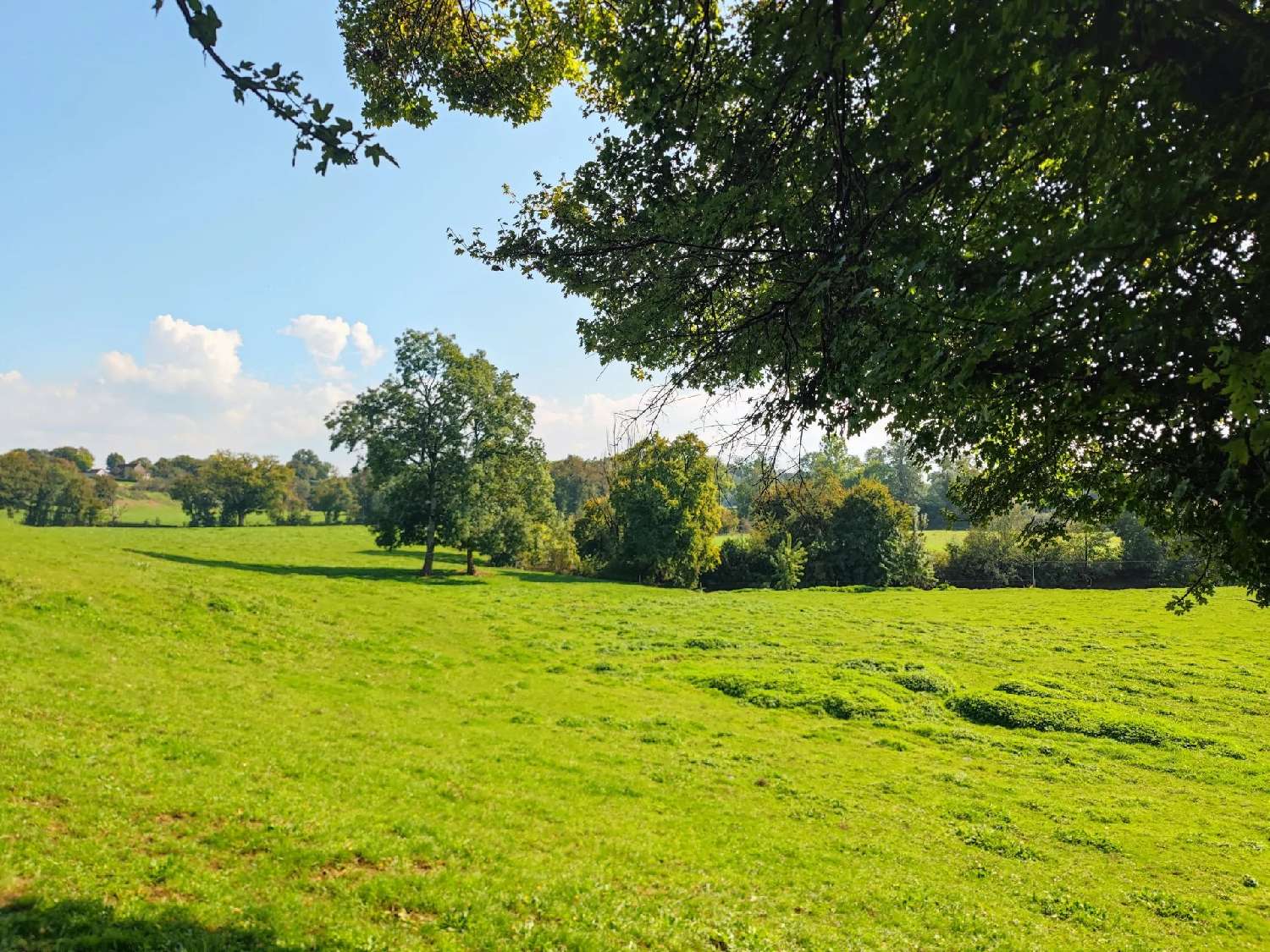 à vendre maison Biches Nièvre 3